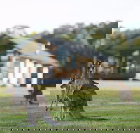 Yering Gorge Cottages - Holiday Adelaide