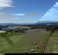 Cheeky Fox Retreat - Holiday Adelaide