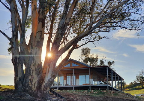 Kestrel Nest EcoHut - Holiday Adelaide 0