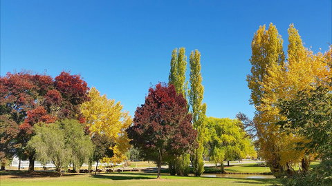 Lockhart Caravan Park - Holiday Adelaide 1