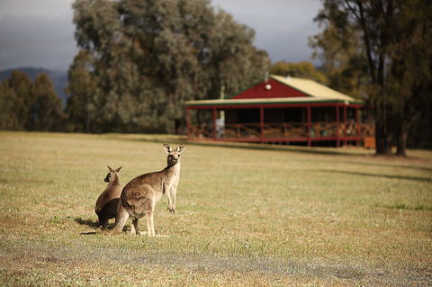 The Pokolbin Cabins - Holiday Adelaide 0