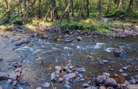 Toorooroo Campground - Holiday Adelaide 0