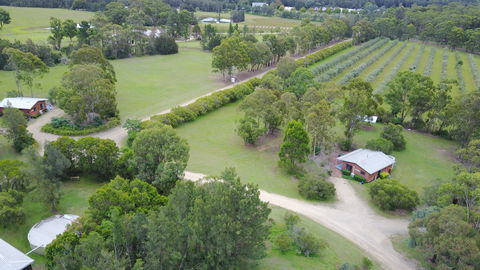 Twin Trees - Holiday Adelaide 1