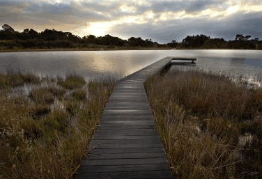 Hidden Valley Forest Retreat - Holiday Adelaide 4