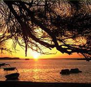 Pelican's Nest - Holiday Adelaide