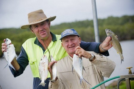 Terrace Reserve Holiday Park - Holiday Adelaide 1