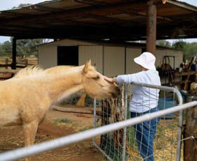 Nallan Station - Holiday Adelaide 0