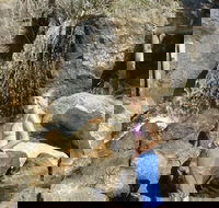 Misty Valley Country Cottages