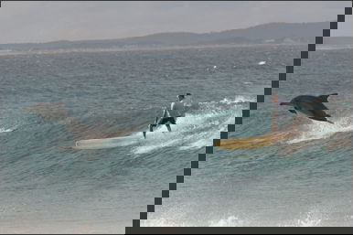 Spot X - Holiday Adelaide 2
