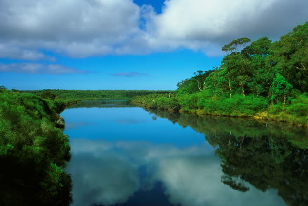 Nutkin Lodge - Holiday Adelaide 3