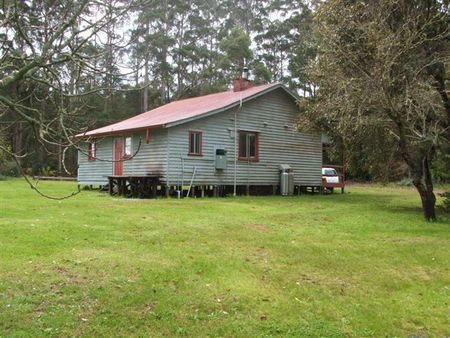 Pemberton Forest Stay - Holiday Adelaide 5