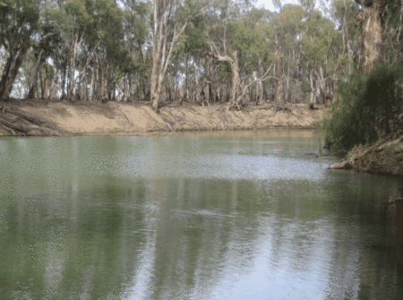 Balranald Club Motel - Holiday Adelaide 1