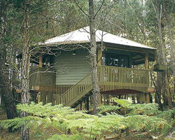 Possums Hideaway - Holiday Adelaide 0