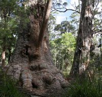 Valley of the Giants Cottage - Holiday Adelaide