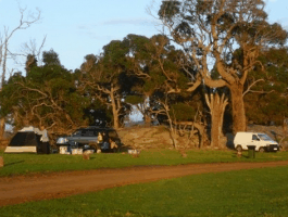 Ayr Sailean - Holiday Adelaide 5