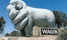 Wagin Motel - Holiday Adelaide 0