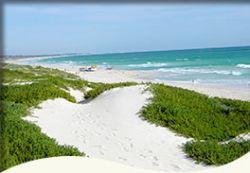 Trigg Retreat Bed And Breakfast - Holiday Adelaide 5