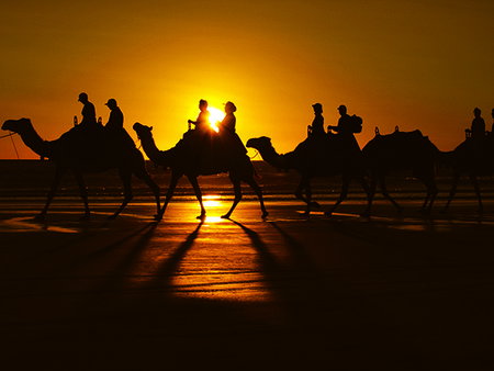 Oaks Broome - Holiday Adelaide 2