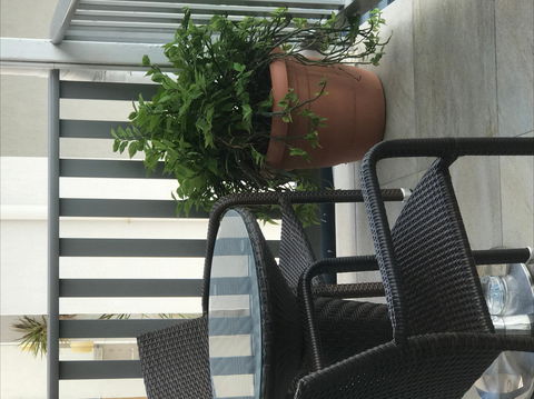 Airlie Court Units - Holiday Adelaide 2
