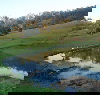 Barkeldine Farm Country Retreat