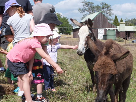 Barkeldine Farm Country Retreat - Holiday Adelaide 2