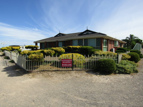 Blue Sea Dragon - Holiday Adelaide 0