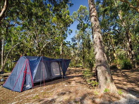 Boomeri Campground - Holiday Adelaide 1