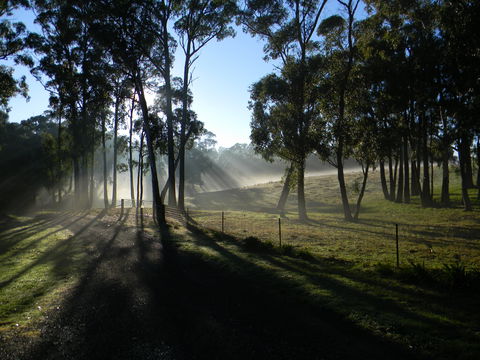 Cygnet Park Country Retreat - Holiday Adelaide 2