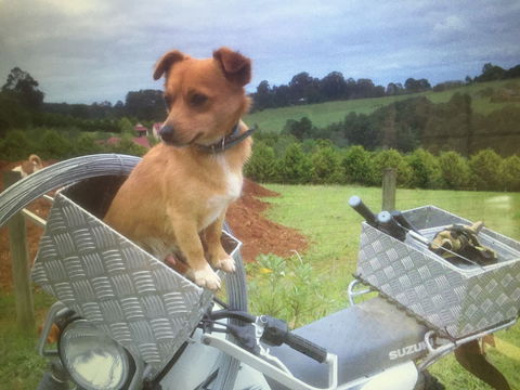 Farm Accommodation - Holiday Adelaide 1