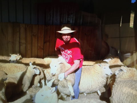 Farm Accommodation - Holiday Adelaide 2