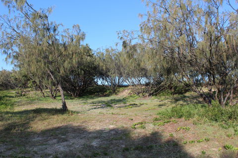 K'gari (Fraser Island) Camping, Great Sandy National Park - Holiday Adelaide 1
