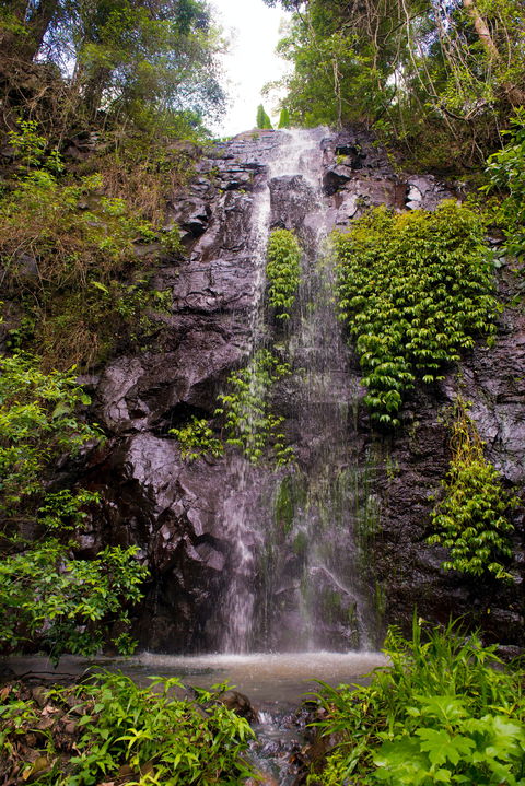 Nimbin Waterfall Retreat - Holiday Adelaide 0