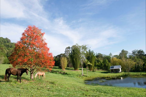 Nimbin Waterfall Retreat - Holiday Adelaide 1
