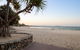 Noosa Holiday Rentals - thumb 2