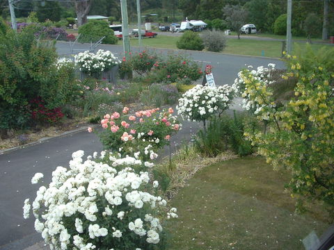 North East Restawhile Bed And Breakfast - Holiday Adelaide 2