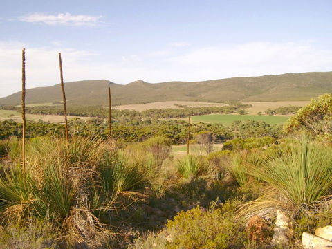 Nyroca Campsite & Group Accommodation - Holiday Adelaide 0