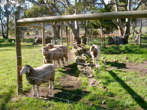 Nyroca Campsite & Group Accommodation - Holiday Adelaide 2