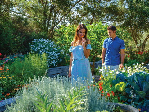 Olio Bello Lakeside Glamping - Holiday Adelaide 1