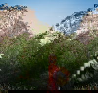 Sandstone Park Carnarvon Gorge - Holiday Adelaide