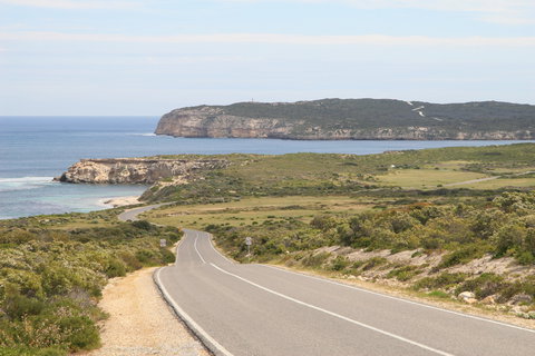 Shepherds Hut - Holiday Adelaide 1
