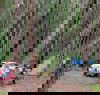 Wallingat River campground - Holiday Adelaide