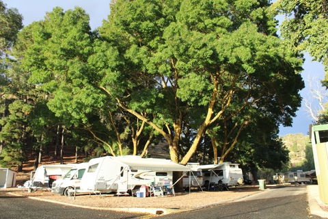 Williamstown Queen Victoria Jubilee Park - Holiday Adelaide 0