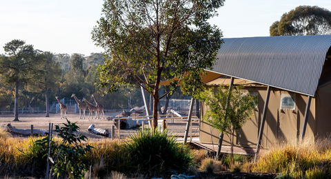 Zoofari Lodge, Taronga Western Plains Zoo Dubbo - Holiday Adelaide 2