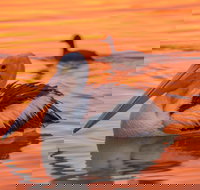 4 Pelican Court - River Shack Rentals - Holiday Adelaide