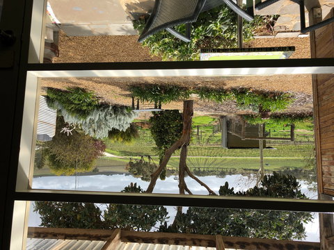 Bed In A Shed Unique Vineyard Accommodation - Holiday Adelaide 0