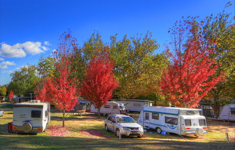 Beechworth Lake Sambell Caravan Park - Holiday Adelaide 0