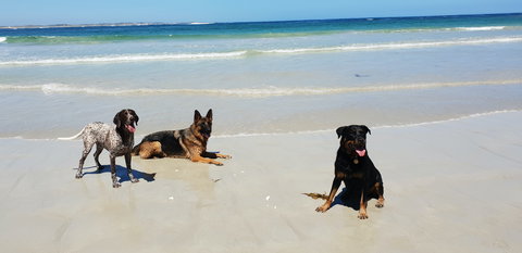 BIG4 Warrnambool Figtree Holiday Park - Holiday Adelaide 2