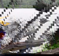 Clyde River Cottage - Holiday Adelaide