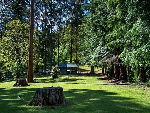 Dingo Tops Campground - Holiday Adelaide 0