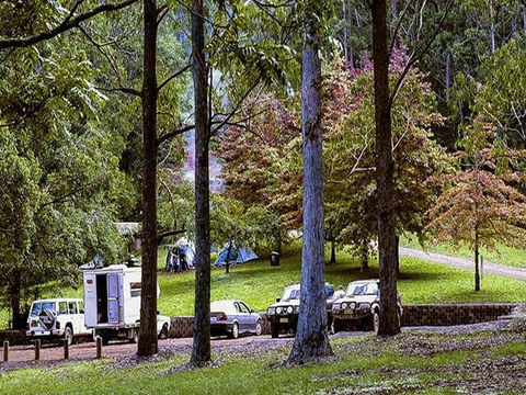 Dingo Tops Campground - Holiday Adelaide 2